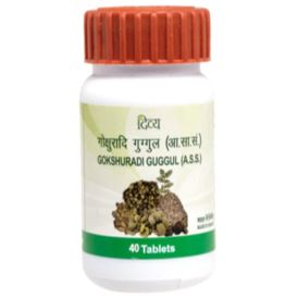 patanjali gokshuradi guggul 20gm 2-pack in  by Patanjali Ayurved